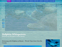 Tablet Screenshot of dolphinwhisperer.org
